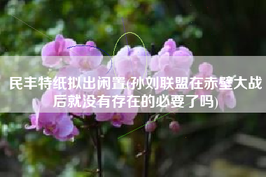 民丰特纸拟出闲置(孙刘联盟在赤壁大战后就没有存在的必要了吗)