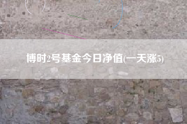 博时2号基金今日净值(一天涨5)