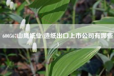 600567山鹰纸业(造纸出口上市公司有哪些)