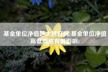 基金单位净值越大越好吗(基金单位净值高低到底有何影响)