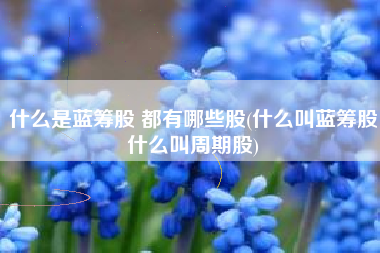 什么是蓝筹股 都有哪些股(什么叫蓝筹股什么叫周期股)