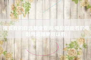 搜狐我的自选基金查询(电影院能看的电影网站哪里可以看)