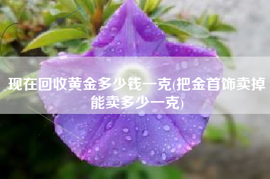现在回收黄金多少钱一克(把金首饰卖掉能卖多少一克)