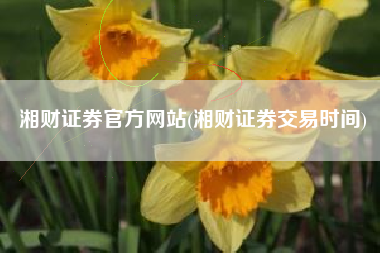 湘财证券官方网站(湘财证券交易时间)