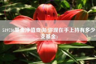 519736基金净值查询(你现在手上持有多少支基金)