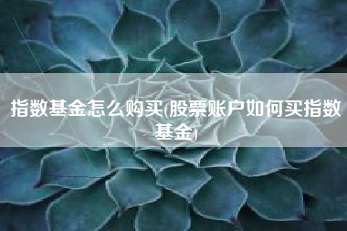 指数基金怎么购买(股票账户如何买指数基金)