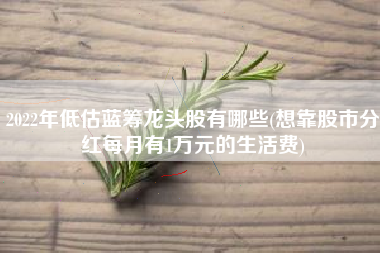 2022年低估蓝筹龙头股有哪些(想靠股市分红每月有1万元的生活费)