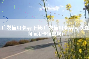 广发信用卡app下载(广发信用卡app可以查询信用卡信息吗)