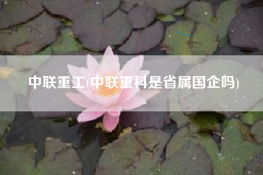 中联重工(中联重科是省属国企吗)