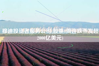 穆迪投资者服务公司(股票8周连跌蒸发超2000亿美元)