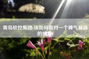 青岛软控集团(该如何面对一个脾气暴躁的领导)