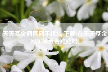 天天基金网官网手机app下载(在天天基金网买基金会跑路吗)