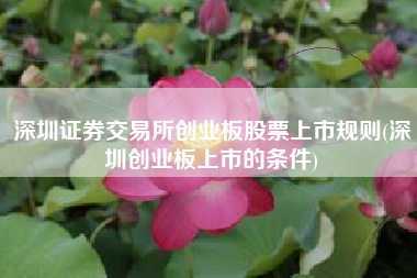 深圳证券交易所创业板股票上市规则(深圳创业板上市的条件)