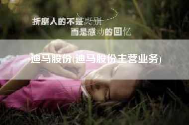 详细阅读:迪马股份(迪马股份主营业务) 迪马股份(迪马股份主营业务)