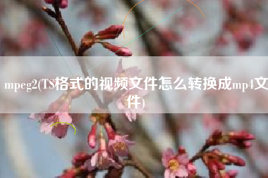 mpeg2(TS格式的视频文件怎么转换成mp4文件)