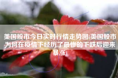 美国股市今日实时行情走势图(美国股市为何在疫情下经历了最惨的下跌后迎来暴涨)