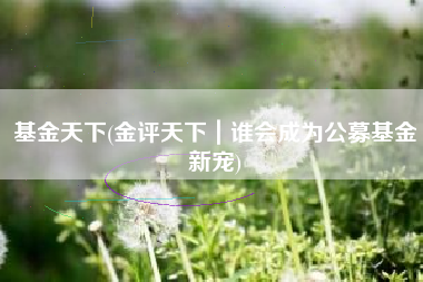 基金天下(金评天下|谁会成为公募基金新宠)