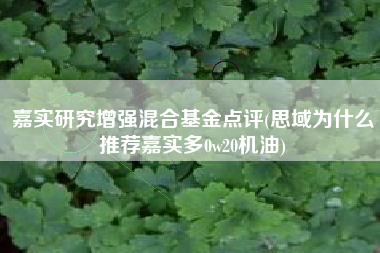 嘉实研究增强混合基金点评(思域为什么推荐嘉实多0w20机油)