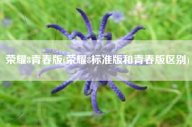荣耀8青春版(荣耀8标准版和青春版区别)