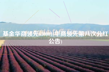 基金华商领先630001(华商领先第八次分红公告)