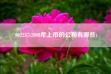 002257(2008年上市的公司有哪些)