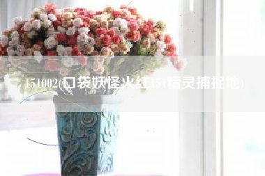 151002(口袋妖怪火红151精灵捕捉地)