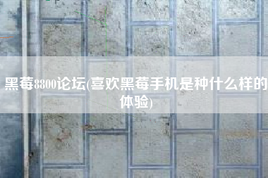 黑莓8800论坛(喜欢黑莓手机是种什么样的体验)