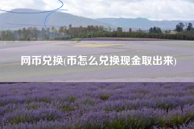 网币兑换(币怎么兑换现金取出来)