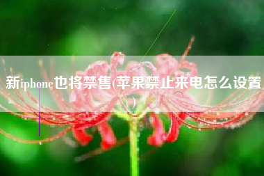 新iphone也将禁售(苹果禁止来电怎么设置)