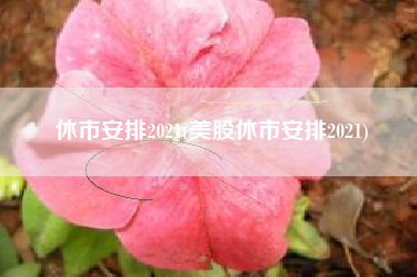 休市安排2021(美股休市安排2021)
