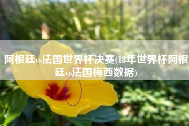 阿根廷vs法国世界杯决赛(18年世界杯阿根廷vs法国梅西数据)