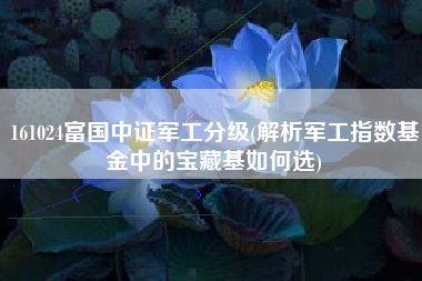 161024富国中证军工分级(解析军工指数基金中的宝藏基如何选)