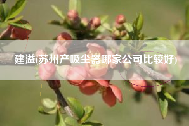 建溢(苏州产吸尘器哪家公司比较好)