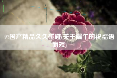97国产精品久久碰碰(关于端午的祝福语简短)