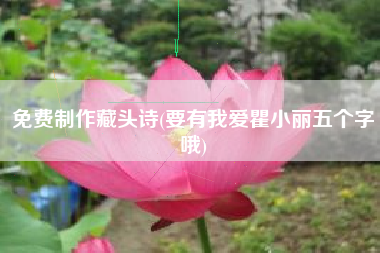 免费制作藏头诗(要有我爱瞿小丽五个字哦)