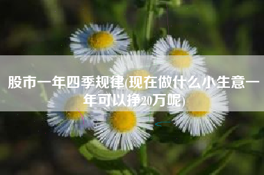 股市一年四季规律(现在做什么小生意一年可以挣20万呢)