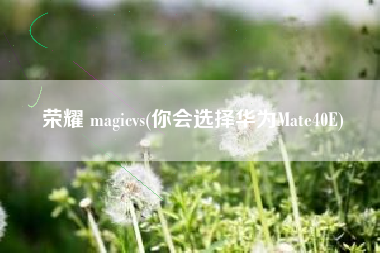 荣耀 magicvs(你会选择华为Mate40E)