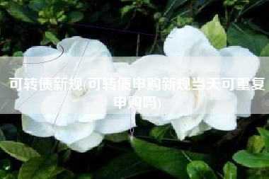 可转债新规(可转债申购新规当天可重复申购吗)
