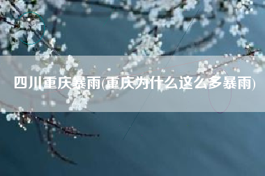 四川重庆暴雨(重庆为什么这么多暴雨)