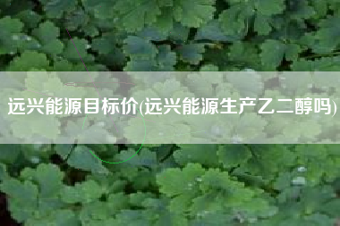 远兴能源目标价(远兴能源生产乙二醇吗)