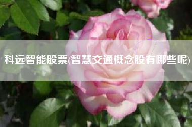 科远智能股票(智慧交通概念股有哪些呢)