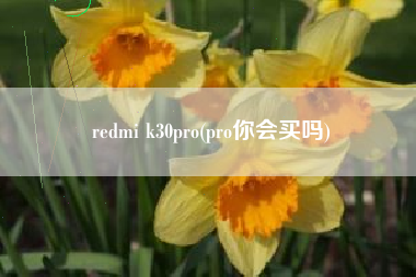 redmi k30pro(pro你会买吗)