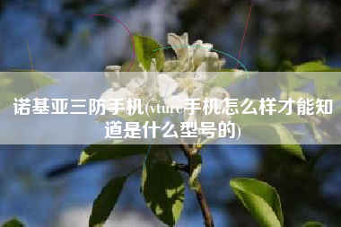 诺基亚三防手机(vture手机怎么样才能知道是什么型号的)
