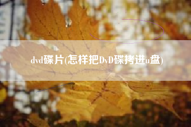 dvd碟片(怎样把DvD碟拷进u盘)