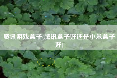 腾讯游戏盒子(腾讯盒子好还是小米盒子好)