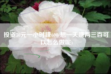 投资30元一小时赚600(想一天赚两三百可以怎么做呢)
