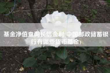 基金净值查询长信金利(中国邮政储蓄银行有哪些货币基金)