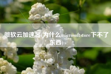 微软云加速器(为什么microsoftstore下不了东西)