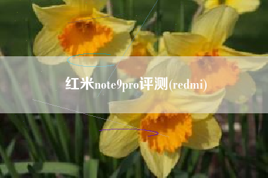 红米note9pro评测(redmi)