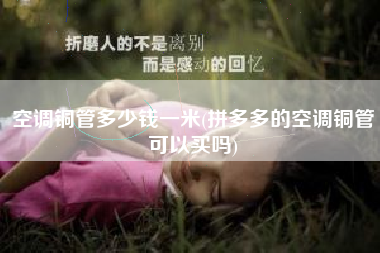详细阅读:空调铜管多少钱一米(拼多多的空调铜管可以买吗) 空调铜管多少钱一米(拼多多的空调铜管可以买吗)